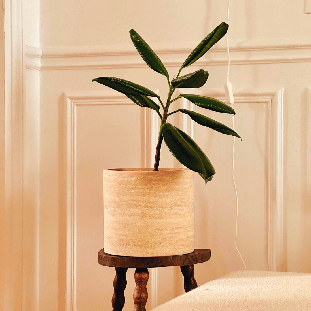 Golden Sunrise Travertine Vase